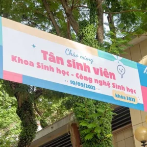 In phông bạt In phông bạt quảng cáo có nhiều loại khác nhau, mỗi loại đều có đặc điểm và ứng dụng riêng